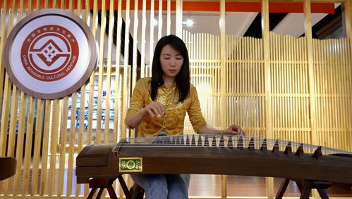 旅游志愿服务全面升级 景上添花的旅游信息咨询